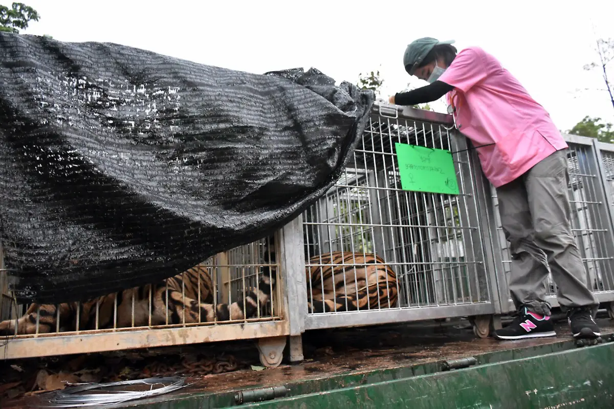 6c9c6549f8c04bc76c903f770354a9c5