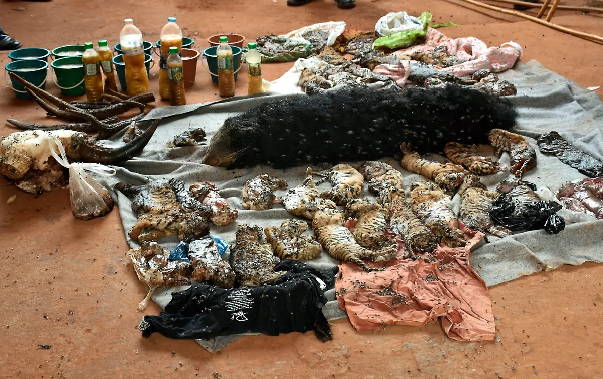 2dcee737bbf5711fae07f9772a98a54f