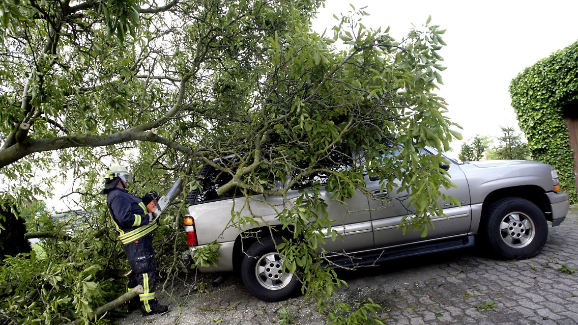 Auto_Unwetter_Baum.jpg