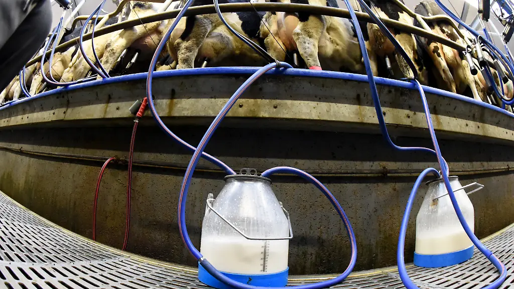 dbb5dfe1475c76a67773b776582e7f78