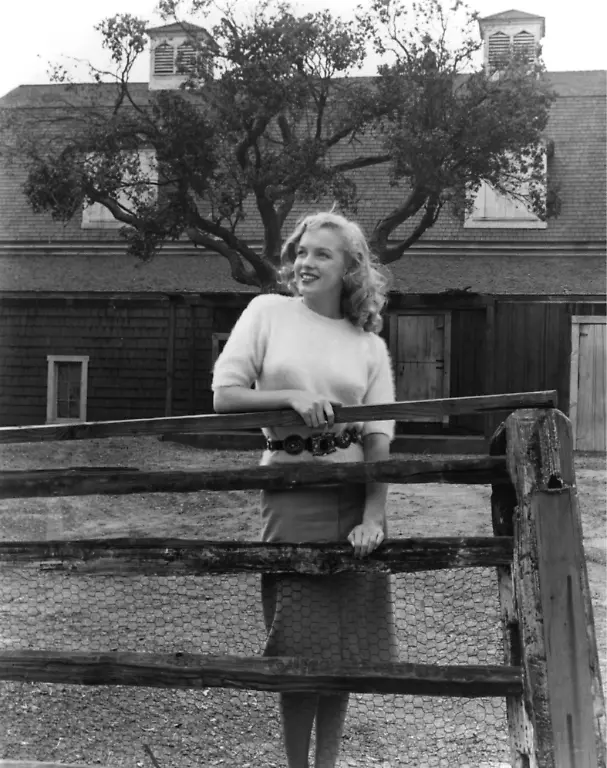 13fbf0b77c144b6d0365ba6425314ebb