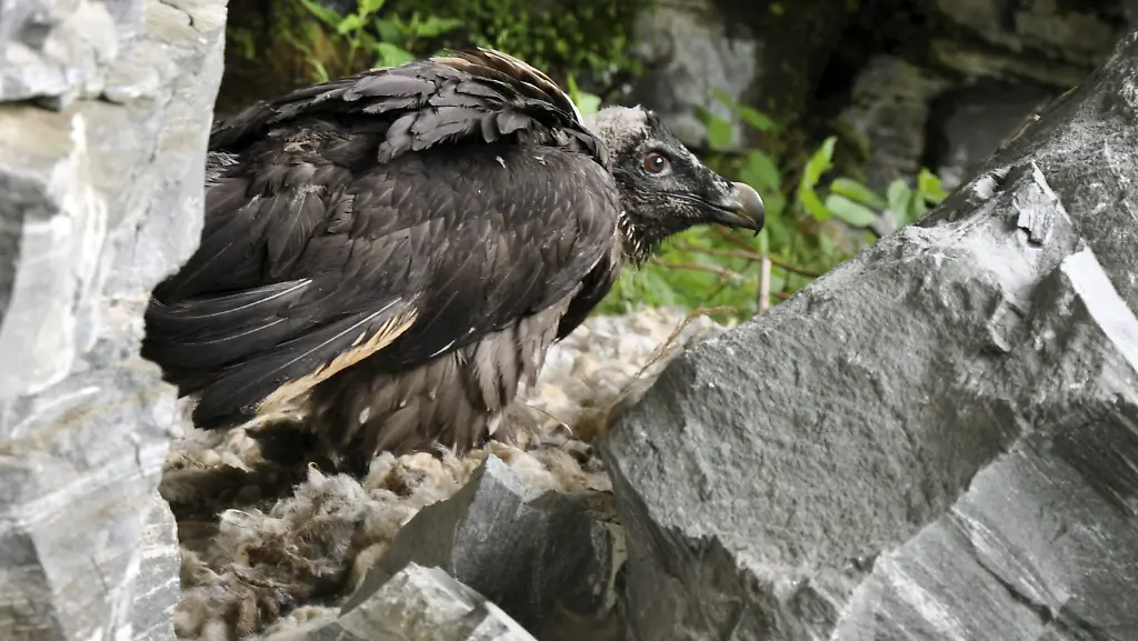 fe8dc8acbc0109c92752c6cafcb4b9c8