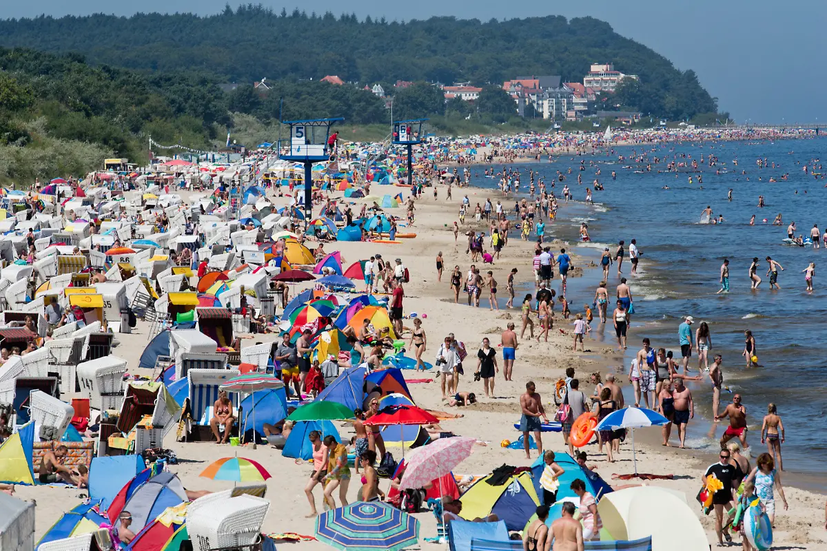 4b77b42796fe1961519f90ff89ac8614