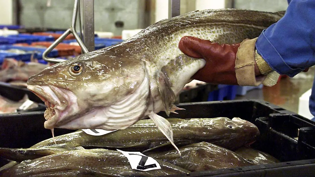 2afb78d296d42d93a8fc31e20fca1c6e