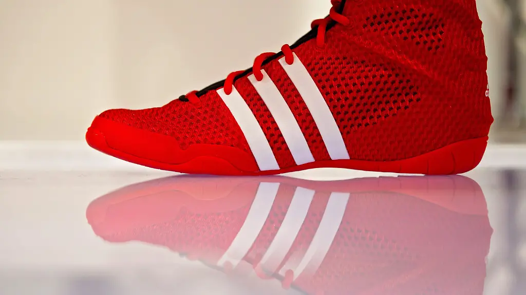 3bdd92a992d20c022019ed36216138a8