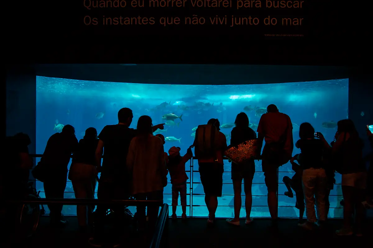 Bild-35-von-41-2013-04-26-009