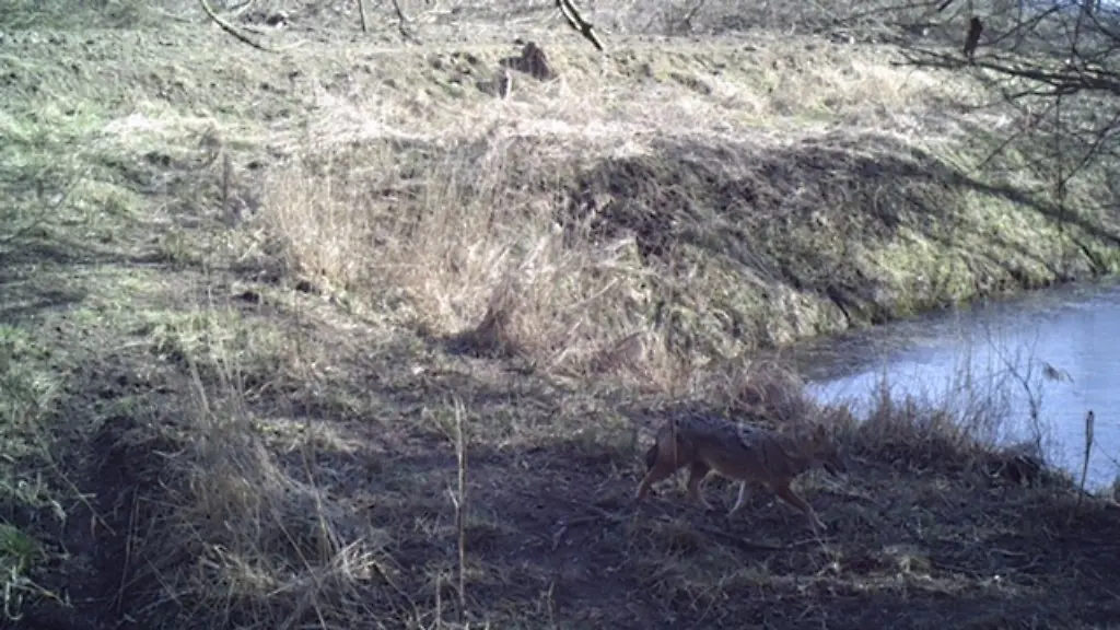 8ee84dd133e70f6481421967be89c48e