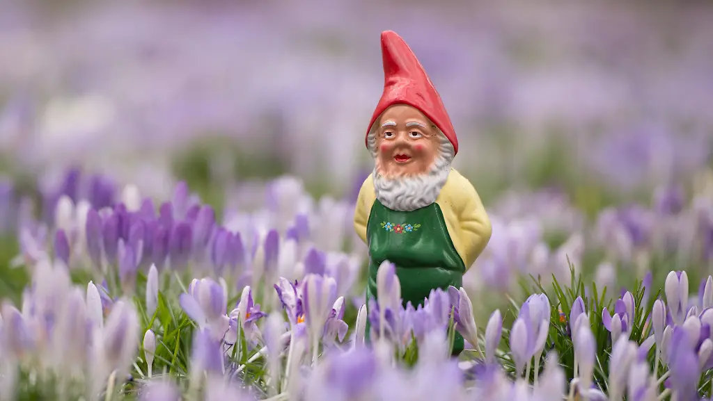 8fea6b23d5e67c4a2d4c928490bae6f8