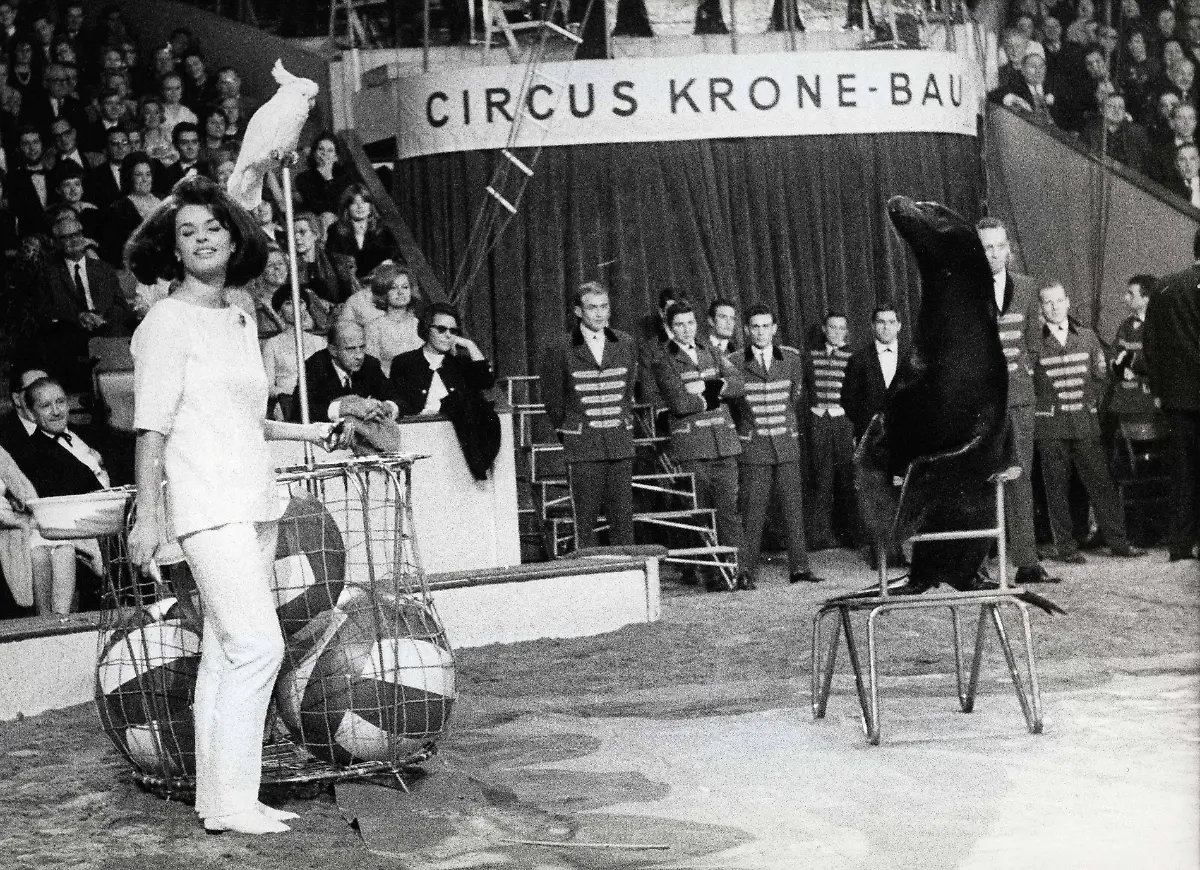 40ee1ed75fed9a7e51b7ff9c497db4b3