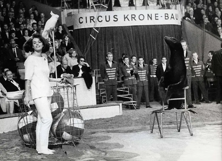 40ee1ed75fed9a7e51b7ff9c497db4b3