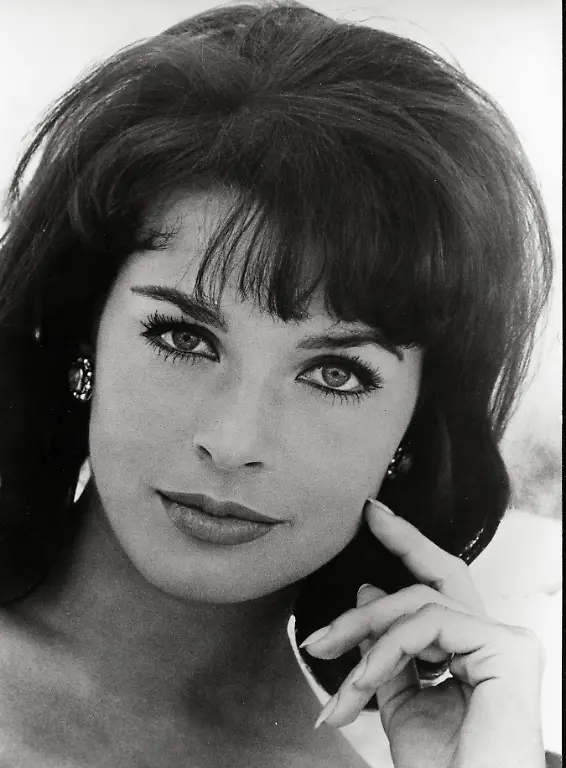 a6972e558fb1ad3274f402a55198408e