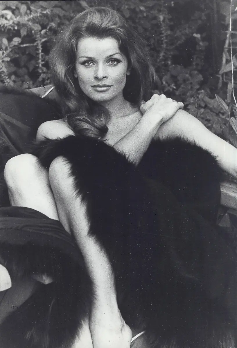 0a49b19fb224d263f744c5117529138b