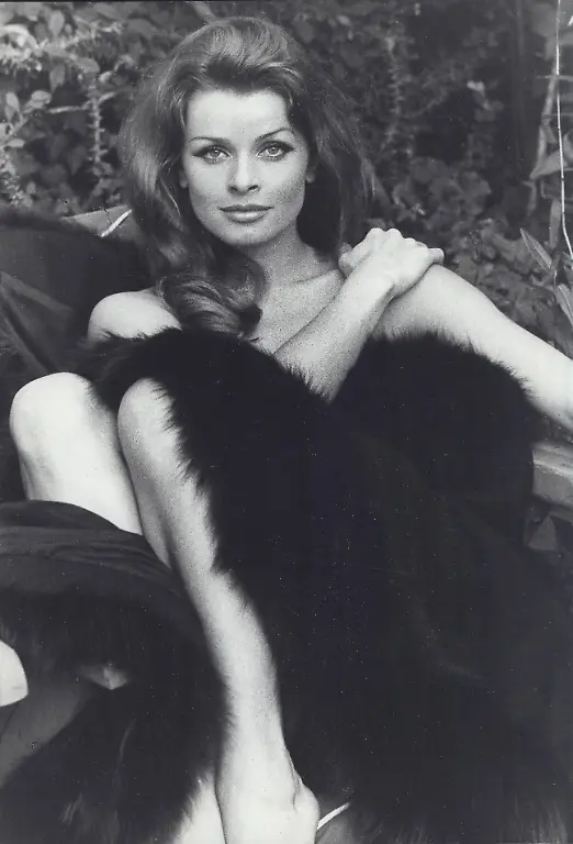 0a49b19fb224d263f744c5117529138b