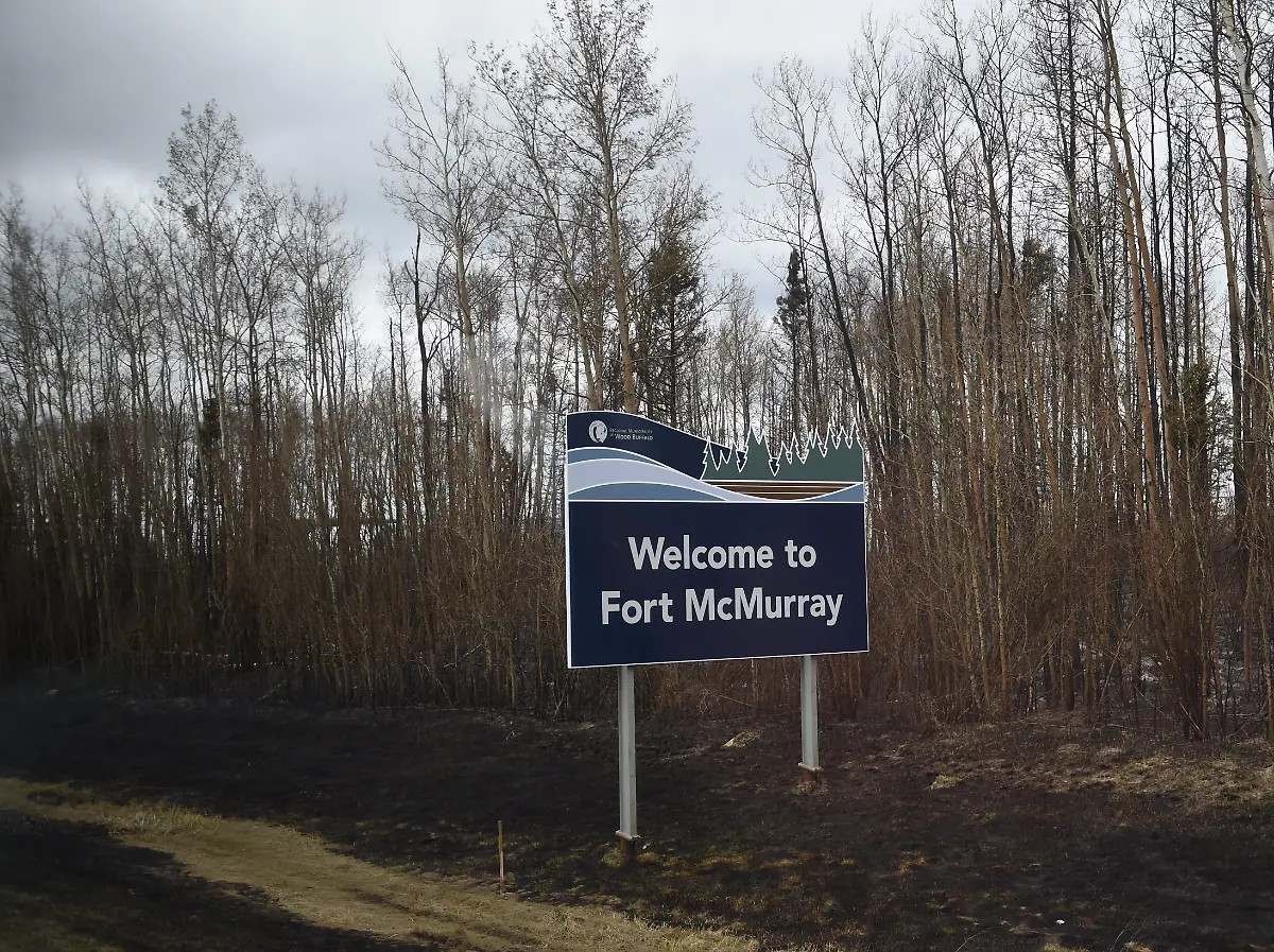 900316a3674968240eef820af1ab2b03