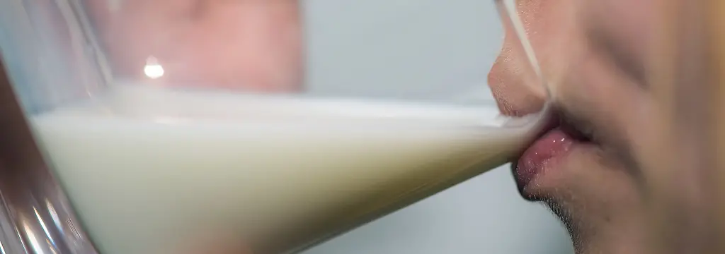 Bild zum Thema Milch