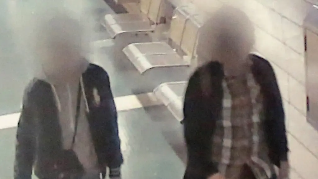 93f8b31d810c913c2056d7e6903bea13