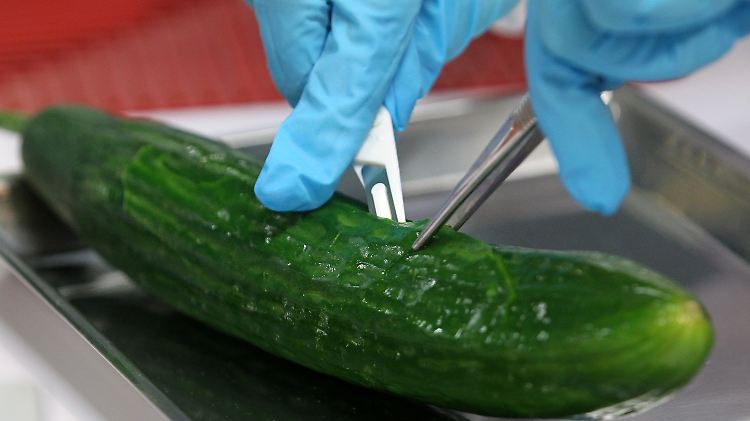 Eine Biologin bereitet eine Gurke zur Untersuchung auf verotoxinbildende E. coli-Bakterien vor.