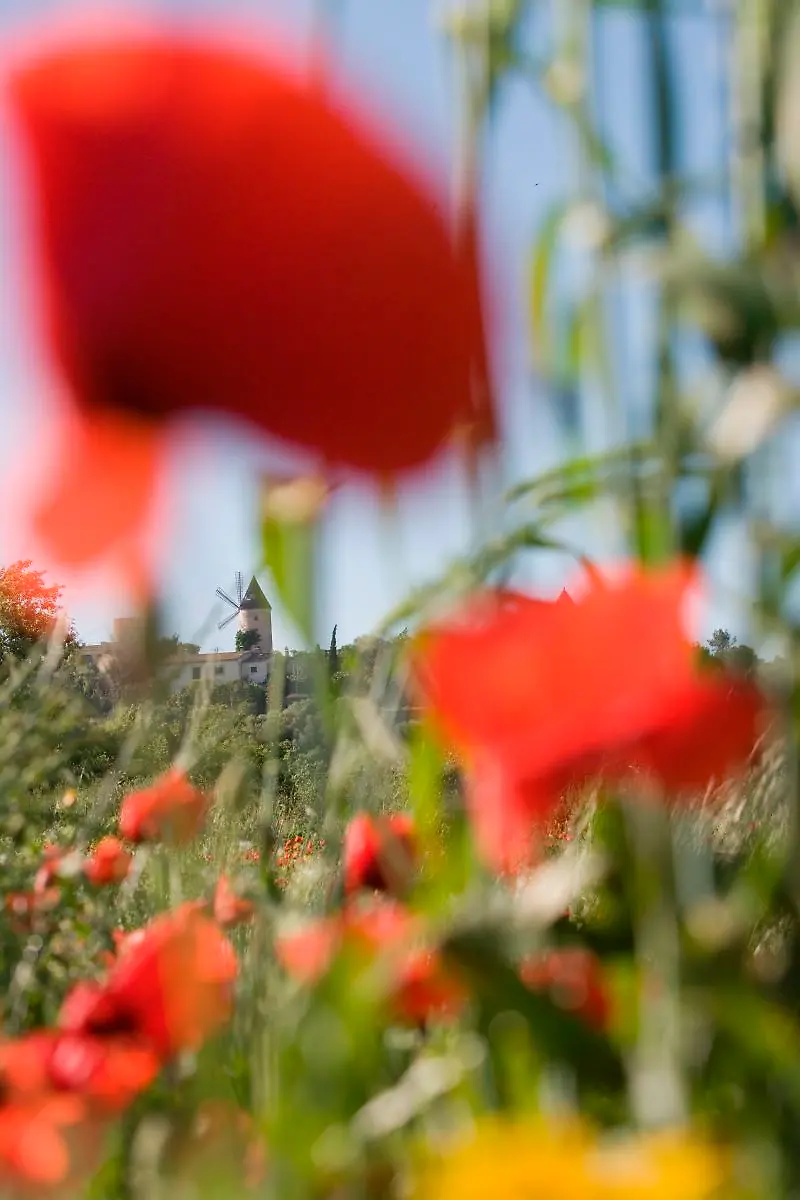 Bild-4-von-41-2007-05-08-003