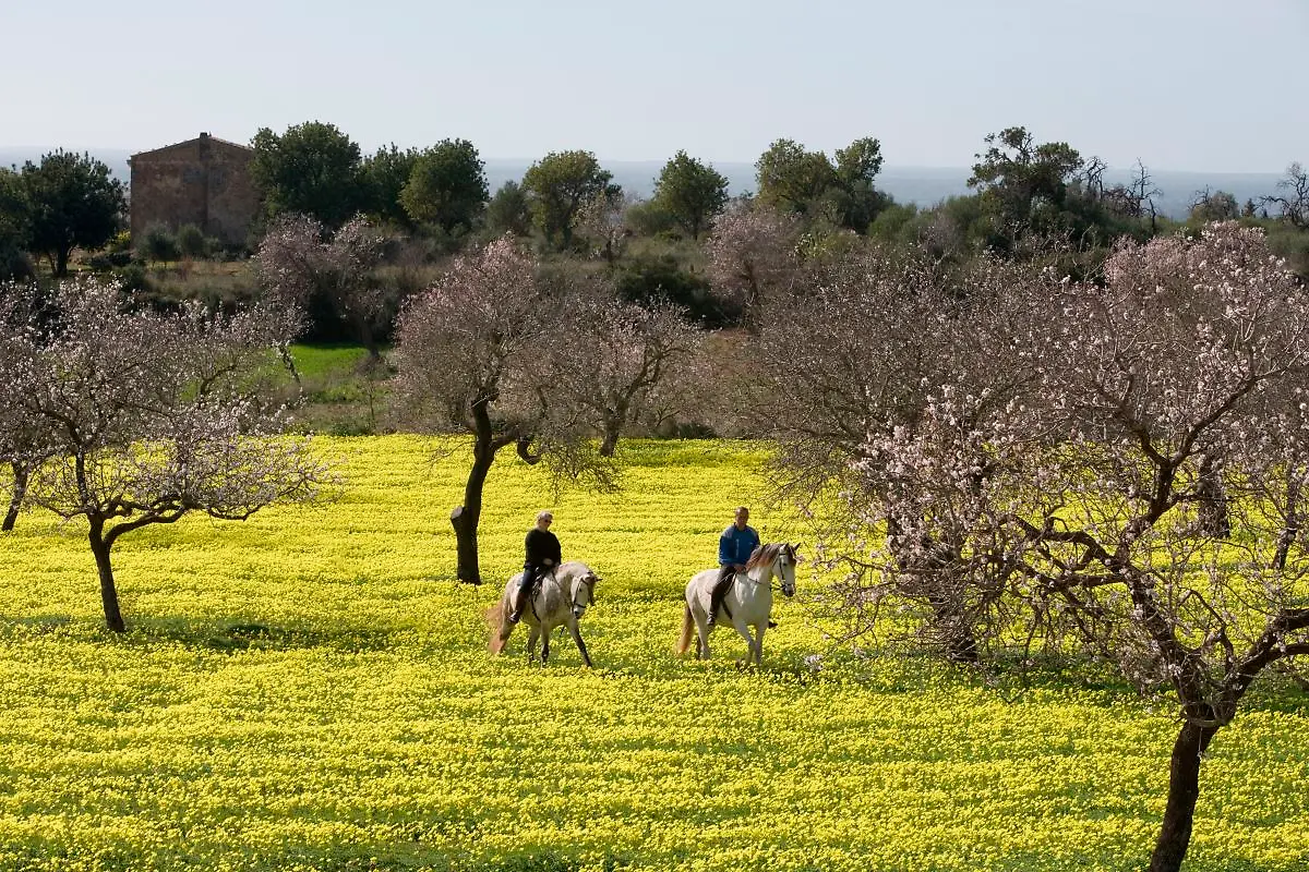 Bild-2-von-41-2007-02-11-029
