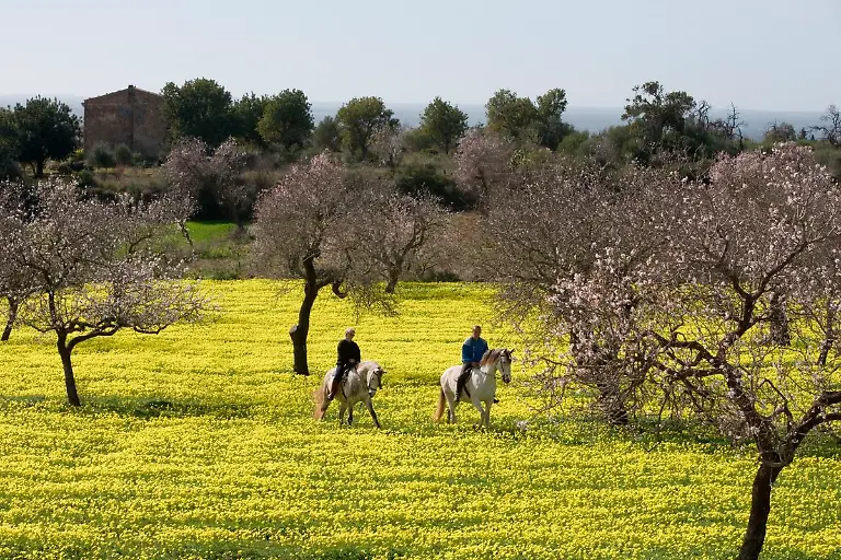Bild-2-von-41-2007-02-11-029