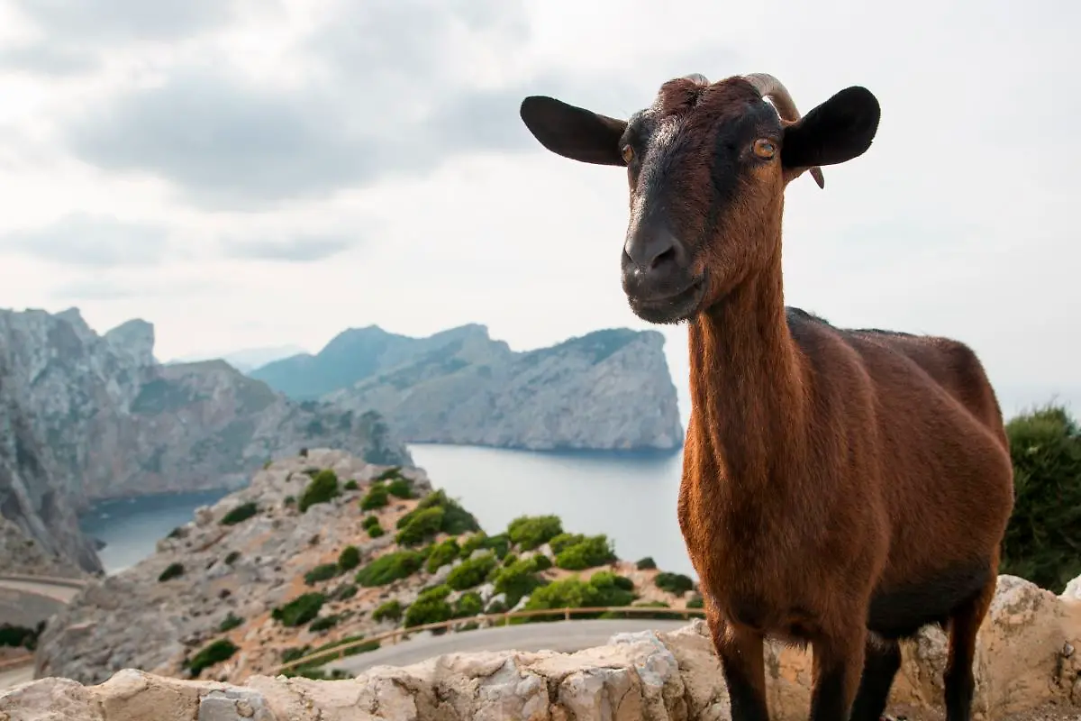 Bild-27-von-41-2015-10-17-119