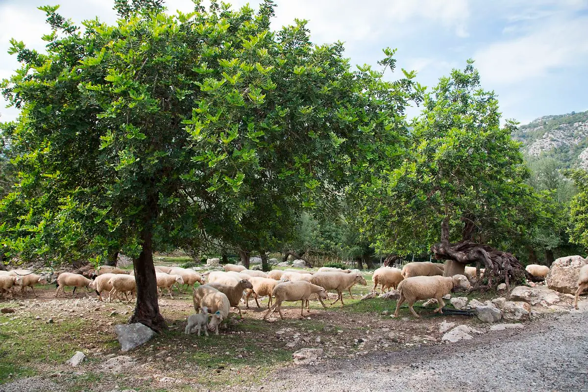 Bild-19-von-41-2015-10-16-035