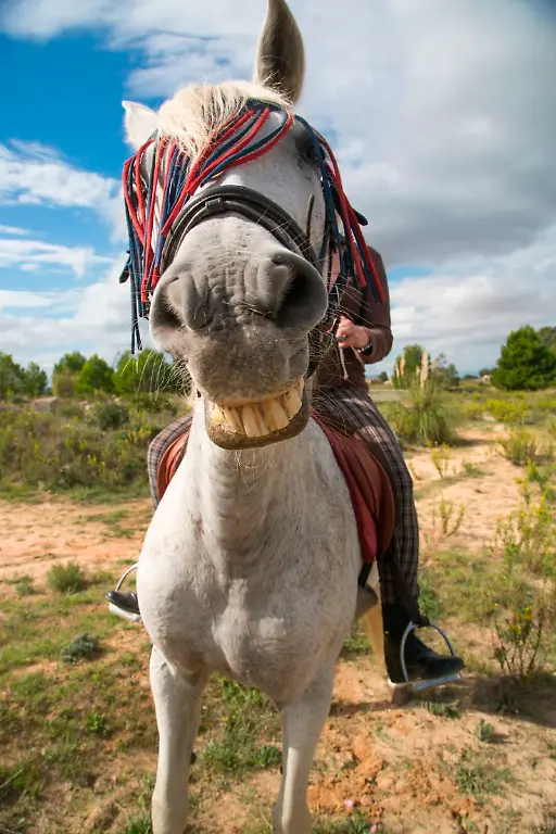 Bild-18-von-41-2015-10-12-023