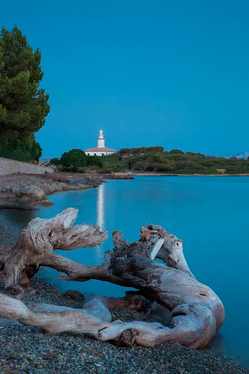 Bild-15-von-41-2015-07-22-053