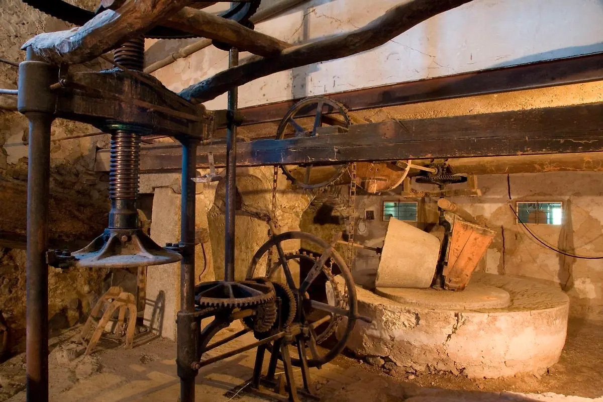 Bild-12-von-41-2007-05-13-007