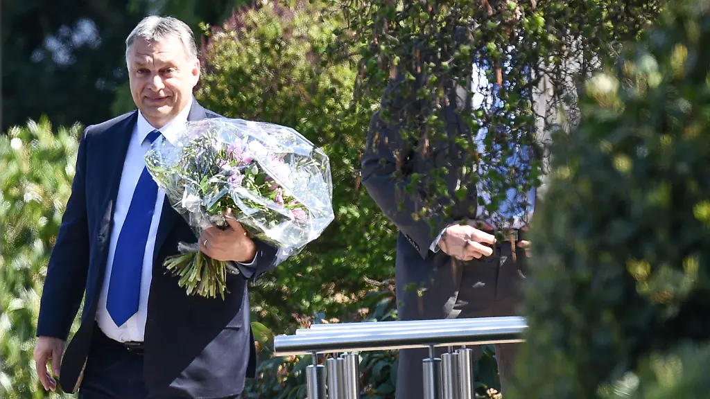 c821e6a288d9ff30b5a34cdcb9b2545d