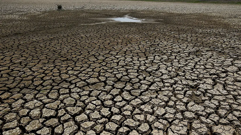 8a7b77771fbd44b0ca06668f986b177d