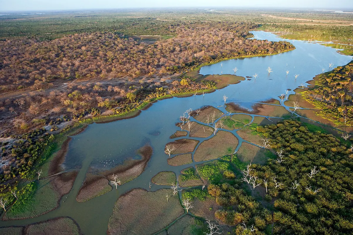 Only-to-be-used-in-conjunction-with-explicitly-mentioning-WWF-and-World-Heritage-Campaign-Aerial-view-of-Rufiji-River-Selous-Game-Reserve-Tanzania-The-Rufiji-River-and-its-tributaries-the-Great-Ruaha-Kilombero-and-Luweg-Rivers-make-up-the-largest-river-system-in-East-Africa