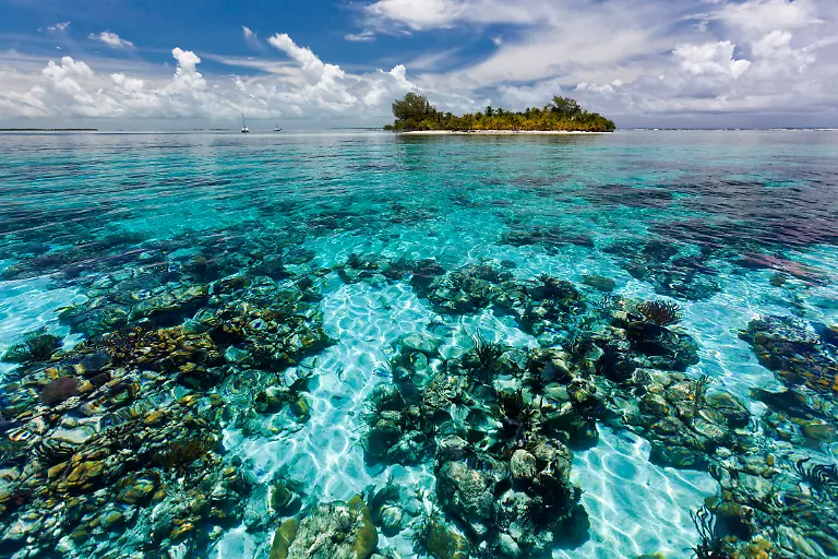 Only-to-be-used-in-conjunction-with-explicitly-mentioning-WWF-and-World-Heritage-Campaign-A-view-of-South-Water-Caye-Marine-Reserve-one-of-seven-protected-areas-that-make-up-the-Belize-Barrier-Reef-Reserve-System-World-Heritage-site
