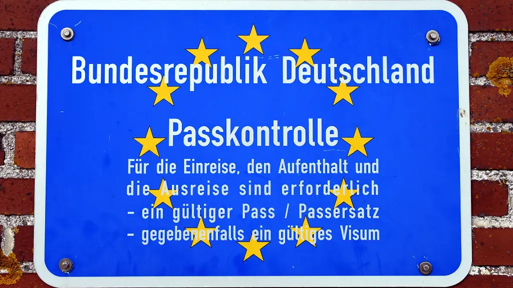 50956803