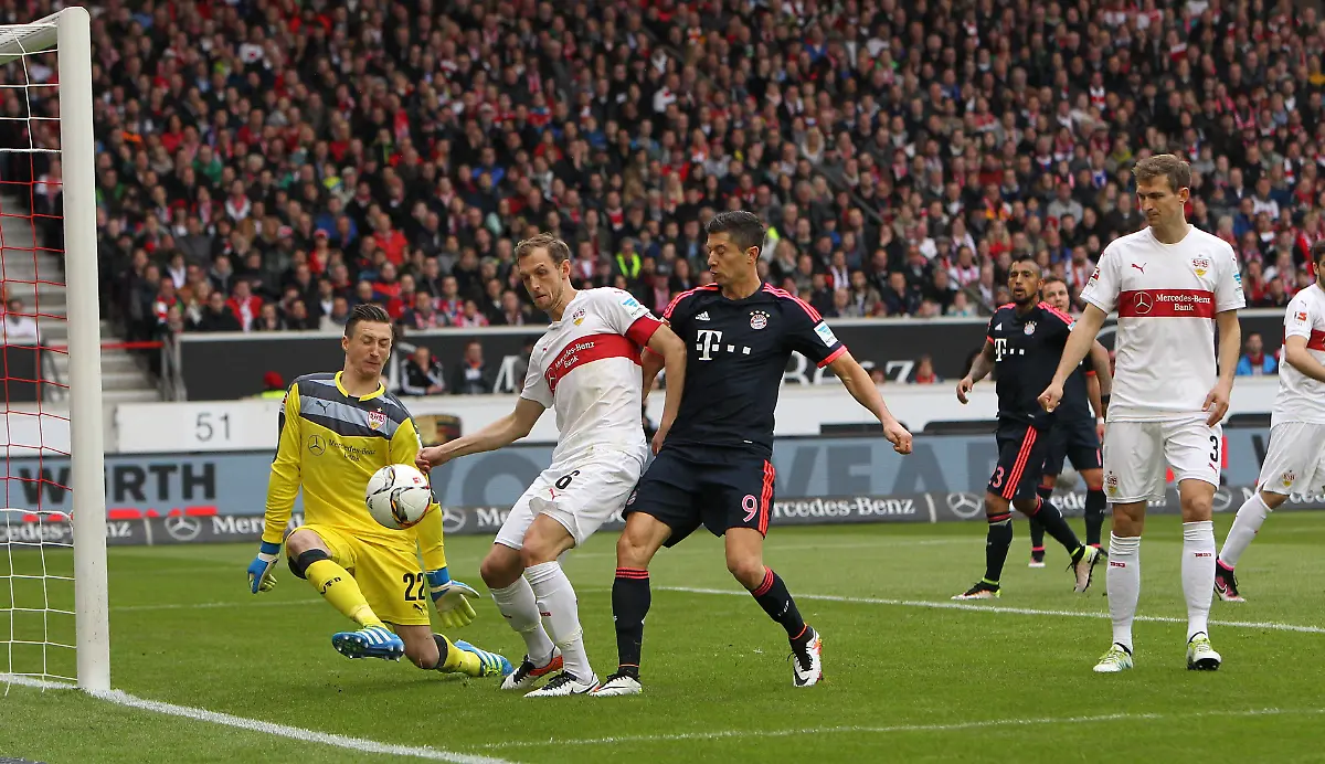 c446554dc439a666179186789de2c479