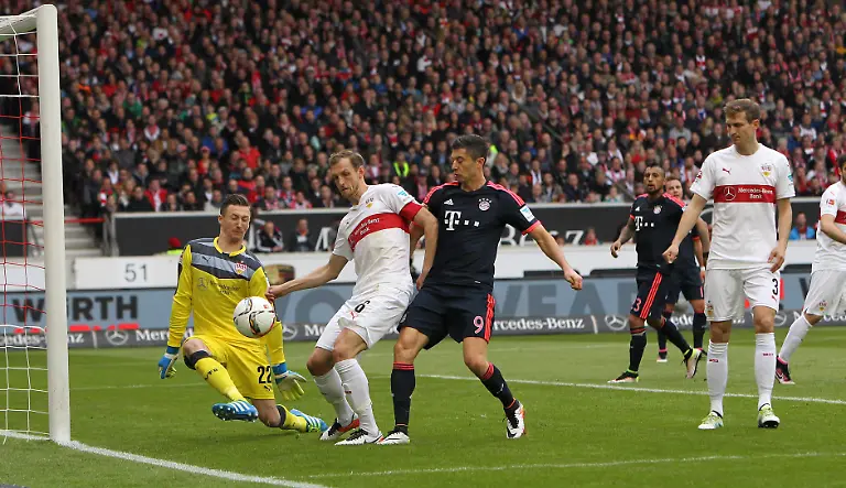 c446554dc439a666179186789de2c479