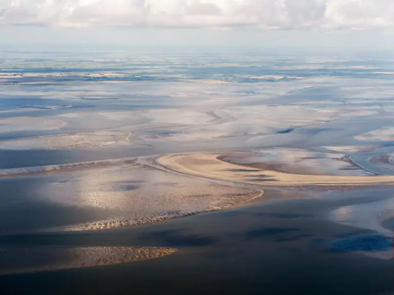 Die-4400-Quadratkilometer-grosse-Landschaft-vor-der-Westkueste-Schleswig-Holsteins-ist-Heimat-von-geschaetzt-10-000-verschiedenen-Tier-und-Pflanzen-Arten