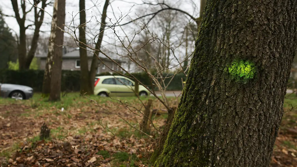 d808c44d906fff1cdc3411308298c5ed