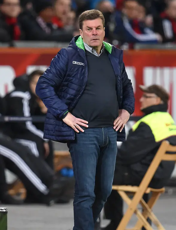 24fdaf1159385556620bfc8a4066beda