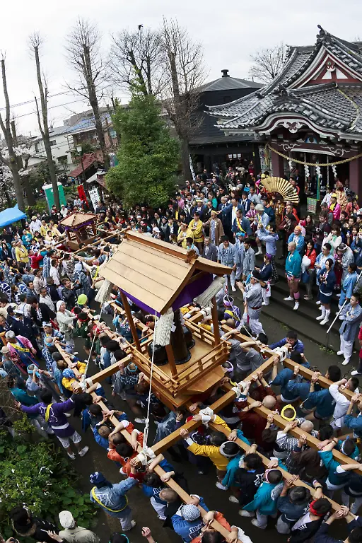 1e0c1e19fd30ddbd26c2384d23887764