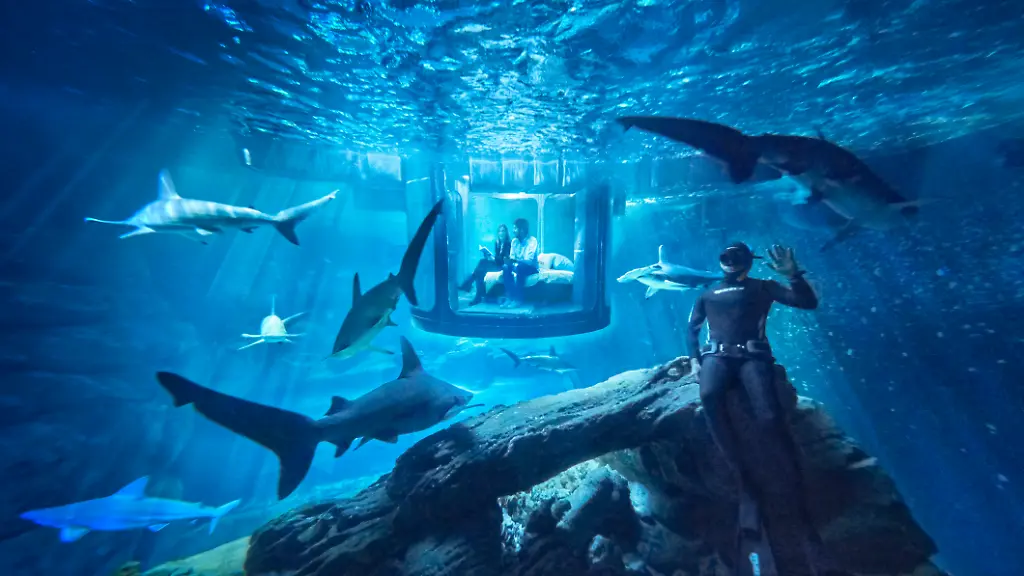 01-insideaquarium-withFred