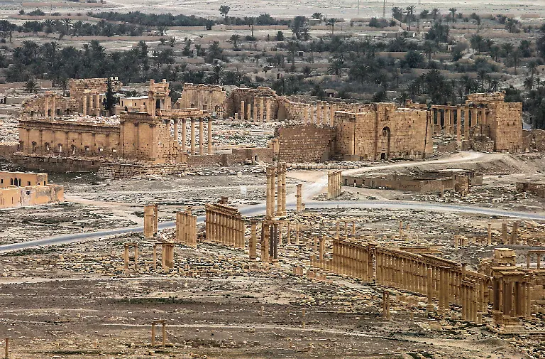 17a95c441835a05ef4c9310ffe3ba843