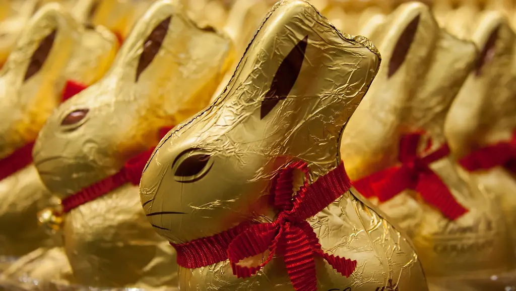 81df4c9356ae0734025c7d5d6884528e