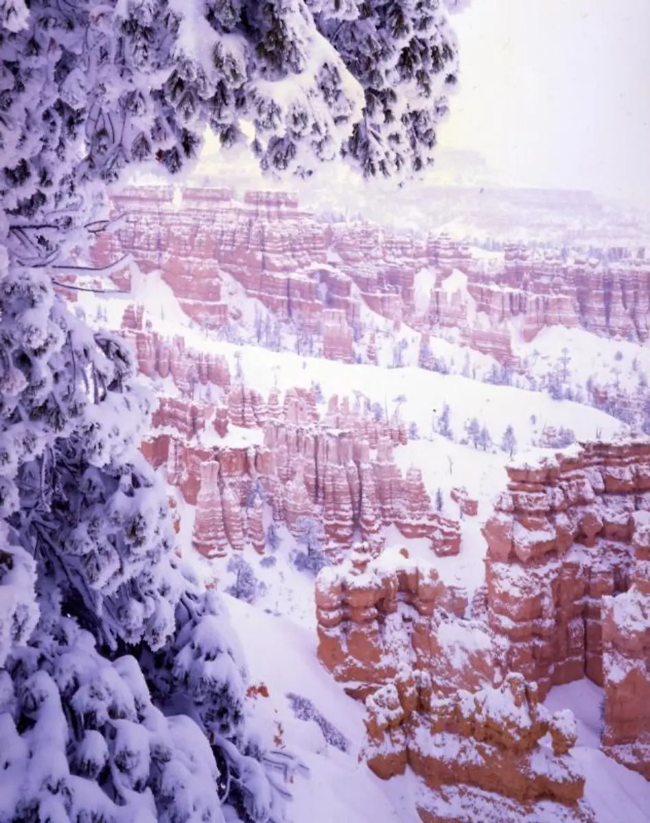 Bryce-Canyon-im-Schnee-2