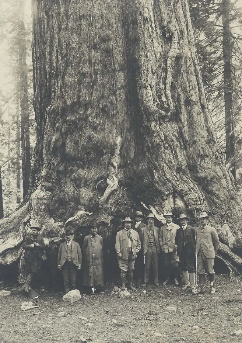 Yosemite-Theodore-Roosevelt