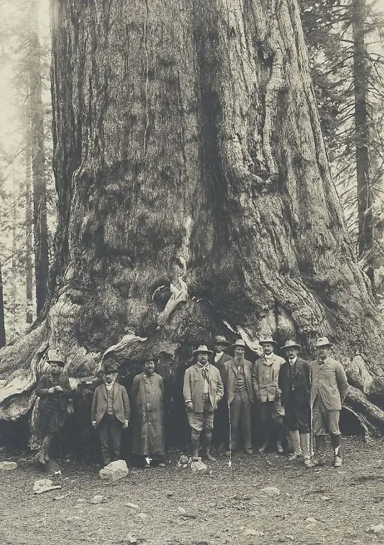 Yosemite-Theodore-Roosevelt