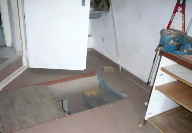 natascha-kampusch-peter-reichard-5