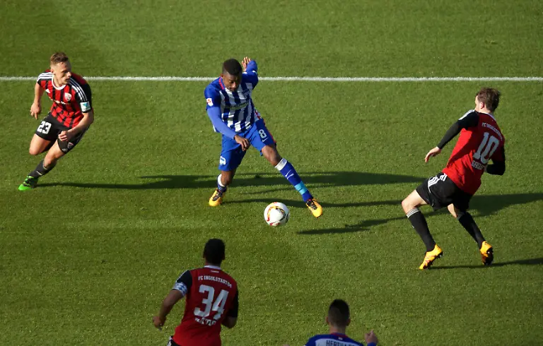 8a26d307d88136565a74d6824c7e9ea2