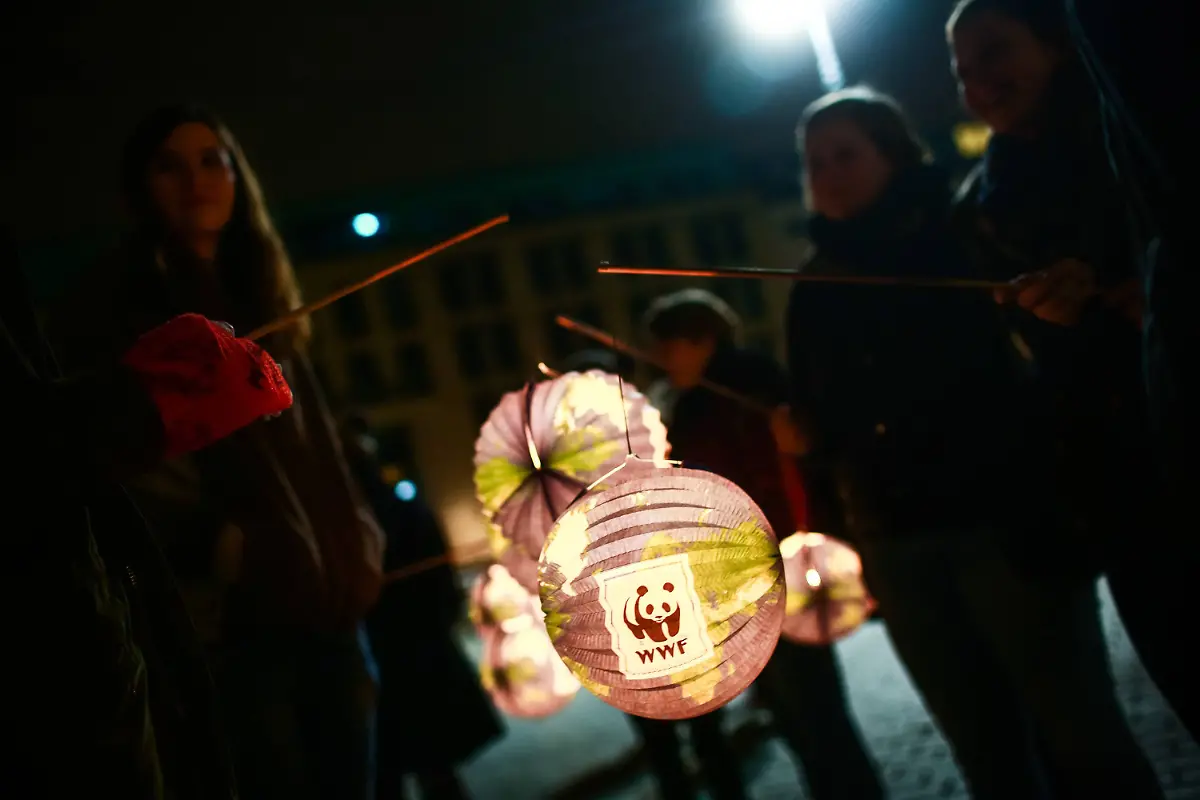 b661faa18f6e0fb4fb00a362f9d6dec9