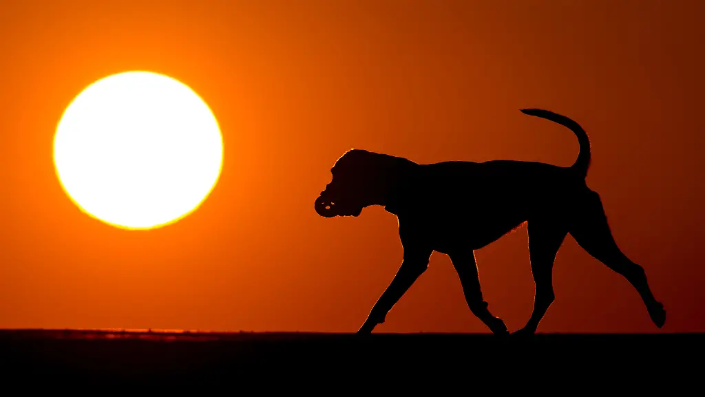 dfcbf682021affc4fa989a9ac64809e8